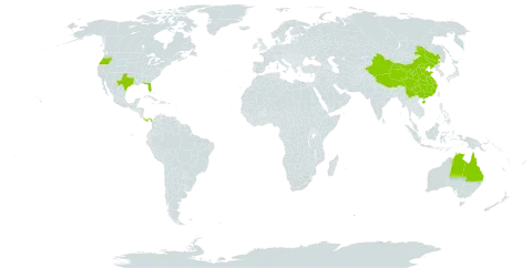 Tournefortia world distribution map, present in American Samoa, Australia, China, Panama, and United States of America