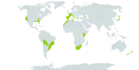 Tradescantia fluminensis world distribution map, present in Åland Islands, Bolivia (Plurinational State of), Brazil, Cyprus, Spain, France, Georgia, Greece, Italy, Japan, Kenya, Morocco, Norfolk Island, New Zealand, Puerto Rico, Portugal, Paraguay, eSwatini, Turks and Caicos Islands, Tunisia, Taiwan, Province of China, Uruguay, United States of America, and South Africa