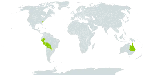 Tragus australianus world distribution map, present in Australia, Bolivia (Plurinational State of), Peru, Paraguay, and United States of America