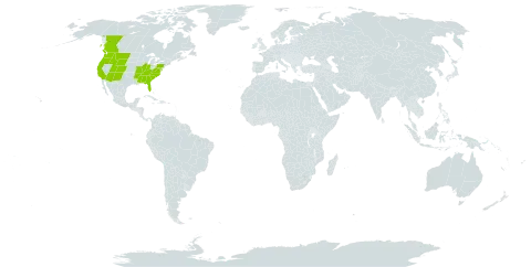 Trautvetteria caroliniensis world distribution map, present in Canada and United States of America