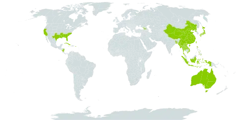 Triadica world distribution map, present in Åland Islands, Australia, Bangladesh, China, Cuba, Georgia, Indonesia, Japan, Lao People's Democratic Republic, Myanmar, Nicaragua, Nepal, Philippines, Puerto Rico, Korea (Democratic People's Republic of), Thailand, Taiwan, Province of China, United States of America, and Viet Nam