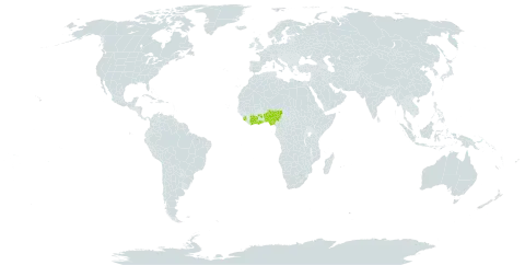 Trichilia martineaui world distribution map, present in Benin, Côte d'Ivoire, Ghana, Nigeria, Sierra Leone, and Uganda