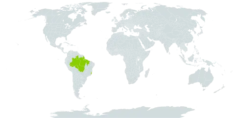 Trichilia quadrijuga world distribution map, present in Brazil