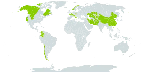 Trichophorum pumilum world distribution map, present in Afghanistan, Canada, Switzerland, Chile, China, Colombia, Czech Republic, France, Iran (Islamic Republic of), Italy, Kazakhstan, Kyrgyzstan, Montenegro, Norway, Nepal, Pakistan, United States of America, and Uzbekistan