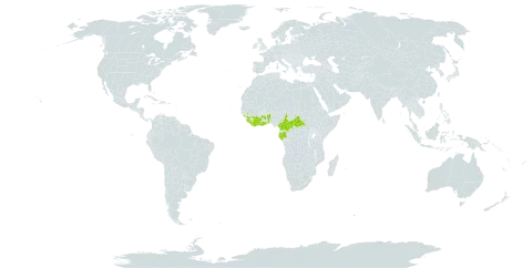 Trichoscypha smythei world distribution map, present in Benin, Central African Republic, Côte d'Ivoire, Cameroon, Gabon, Ghana, Guinea, Equatorial Guinea, Liberia, and Sierra Leone