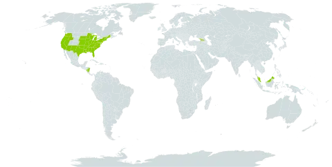 Trichostema world distribution map, present in Åland Islands, Micronesia (Federated States of), Georgia, Malaysia, Nicaragua, and United States of America