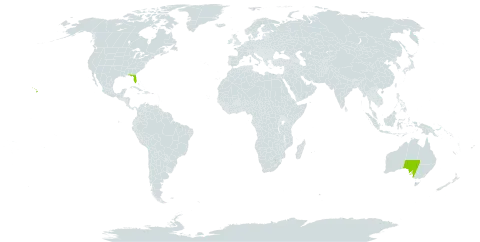 Tridax world distribution map, present in Australia and United States of America