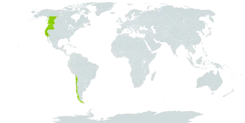 Trifolium microdon world distribution map, present in Canada, Chile, and United States of America