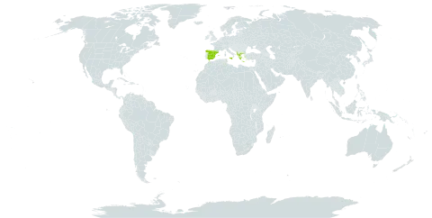 Trifolium mutabile world distribution map, present in Albania, Spain, Greece, and Italy