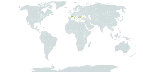 Trifolium nigrescens subsp. nigrescens world distribution map, present in Albania, Bulgaria, Spain, France, Greece, Italy, and Portugal