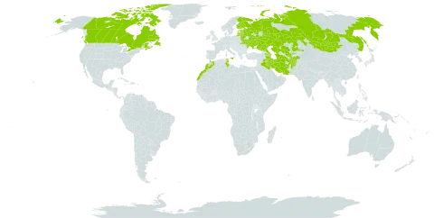 Trifolium pratense subsp. pratense world distribution map, present in Afghanistan, Armenia, Azerbaijan, Belarus, Canada, Estonia, Finland, Iran (Islamic Republic of), Iraq, Italy, Kazakhstan, Lithuania, Latvia, Morocco, Moldova (Republic of), Mongolia, Russian Federation, Tajikistan, Turkmenistan, Tunisia, Ukraine, and Uzbekistan