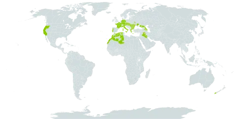 Trifolium retusum world distribution map, present in Armenia, Austria, Azerbaijan, Bulgaria, Czech Republic, Germany, Algeria, France, Georgia, Greece, Hungary, Iraq, Italy, Morocco, Moldova (Republic of), New Zealand, Portugal, Romania, Russian Federation, Slovakia, Ukraine, and United States of America