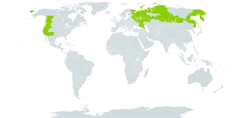 Trifolium willdenovii world distribution map, present in Canada, Russian Federation, and United States of America