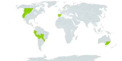 Triglochin scilloides world distribution map, present in Australia, Bolivia (Plurinational State of), Brazil, Canada, Ecuador, Spain, Peru, Portugal, and United States of America