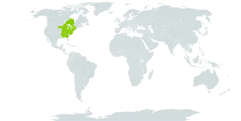 Trillium flexipes world distribution map, present in Åland Islands, Canada, Micronesia (Federated States of), and United States of America