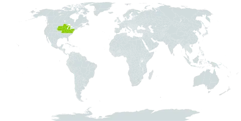 Trillium nivale world distribution map, present in Micronesia (Federated States of) and United States of America