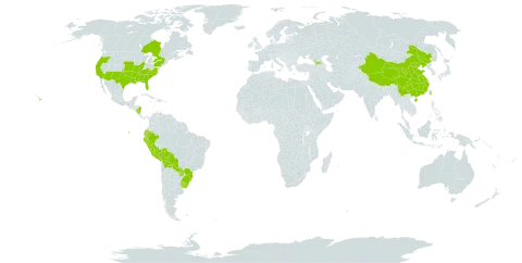 Triodanis perfoliata subsp. biflora world distribution map, present in Åland Islands, Bolivia (Plurinational State of), Brazil, Canada, China, Ecuador, Georgia, Nicaragua, Peru, Paraguay, Taiwan, Province of China, Uruguay, and United States of America