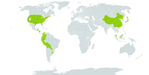 Triodanis world distribution map, present in Åland Islands, Bolivia (Plurinational State of), China, Colombia, Dominica, Ecuador, Micronesia (Federated States of), Georgia, Guatemala, Jamaica, Japan, Malaysia, Nicaragua, Peru, Korea (Democratic People's Republic of), Paraguay, Taiwan, Province of China, Uruguay, and United States of America