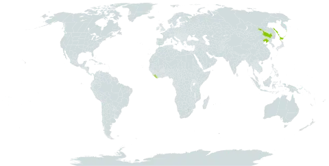 Tripleurospermum tetragonospermum world distribution map, present in China, Japan, Liberia, and Russian Federation