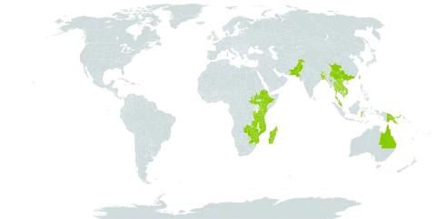 Triumfetta pilosa world distribution map, present in Australia, Burundi, Bangladesh, Bhutan, China, Ethiopia, Indonesia, India, Iceland, Kenya, Cambodia, Lao People's Democratic Republic, Sri Lanka, Madagascar, Myanmar, Mozambique, Malawi, Malaysia, Nepal, Pakistan, Philippines, Papua New Guinea, Rwanda, South Sudan, Thailand, Taiwan, Province of China, Tanzania, United Republic of, Uganda, Viet Nam, South Africa, Zambia, and Zimbabwe