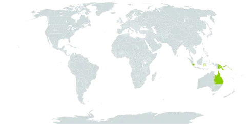 Triumfetta procumbens world distribution map, present in American Samoa, Australia, Cook Islands, Fiji, Micronesia (Federated States of), Guam, Indonesia, Kiribati, Marshall Islands, Northern Mariana Islands, Mauritius, Niue, Nauru, Philippines, Palau, Papua New Guinea, Solomon Islands, Tokelau, Tonga, Tuvalu, United States Minor Outlying Islands, United States of America, and Samoa