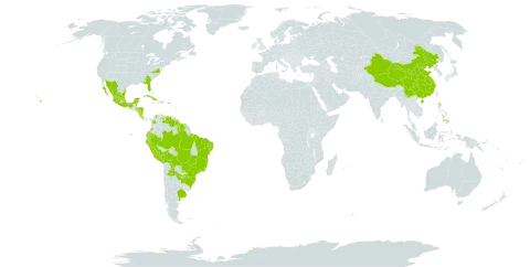 Triumfetta semitriloba world distribution map, present in Argentina, Antigua and Barbuda, Bonaire, Sint Eustatius and Saba, Bahamas, Belize, Bermuda, Bolivia (Plurinational State of), Brazil, Barbados, China, Cook Islands, Colombia, Costa Rica, Cuba, Cayman Islands, Dominica, Ecuador, Micronesia (Federated States of), Guadeloupe, Guam, Guyana, Honduras, Jamaica, Saint Lucia, Mexico, Northern Mariana Islands, Montserrat, Martinique, Mauritius, Nicaragua, Nauru, Peru, Philippines, Puerto Rico, Paraguay, Suriname, Trinidad and Tobago, United States of America, Saint Vincent and the Grenadines, and Venezuela (Bolivarian Republic of)