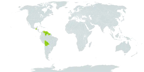 Triuris world distribution map, present in Bolivia (Plurinational State of), Guatemala, Guyana, Suriname, and Venezuela (Bolivarian Republic of)