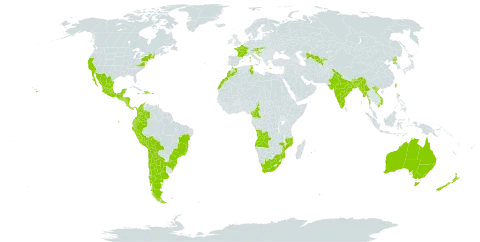 Tropaeolum majus world distribution map, present in Angola, Argentina, Australia, Austria, Bangladesh, Bosnia and Herzegovina, Bolivia (Plurinational State of), Brazil, Bhutan, Chile, China, Cameroon, Colombia, Costa Rica, Dominican Republic, Ecuador, Spain, France, Gibraltar, Greece, Guatemala, Honduras, Croatia, Haiti, India, Jamaica, Morocco, Mexico, Myanmar, Mozambique, Mauritius, Nicaragua, Niue, New Zealand, Panama, Peru, Puerto Rico, Korea (Democratic People's Republic of), Portugal, Réunion, El Salvador, Slovakia, Trinidad and Tobago, Tunisia, Taiwan, Province of China, United States of America, Uzbekistan, Viet Nam, and South Africa