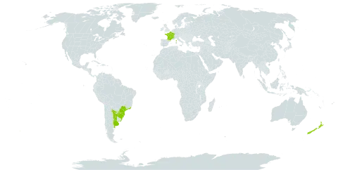 Tropaeolum pentaphyllum world distribution map, present in Argentina, Brazil, France, New Zealand, Paraguay, and Uruguay