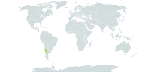 Tropaeolum polyphyllum world distribution map, present in Argentina and Chile