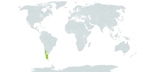 Tropaeolum porifolium world distribution map, present in Argentina and Chile