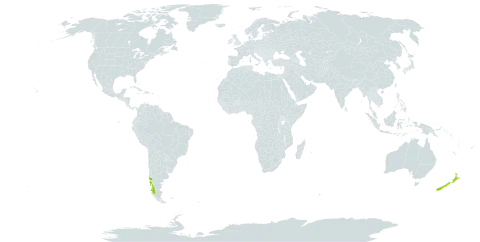 Tropaeolum speciosum world distribution map, present in Chile and New Zealand