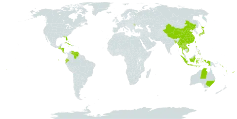 Tropidia world distribution map, present in Andorra, Australia, Bangladesh, Bahamas, China, Costa Rica, Cuba, Cayman Islands, Dominica, Ecuador, Fiji, Guatemala, Honduras, Haiti, Indonesia, Jamaica, Japan, Lao People's Democratic Republic, Moldova (Republic of), Myanmar, Norfolk Island, Nicaragua, Philippines, Puerto Rico, Solomon Islands, Thailand, Taiwan, Province of China, United States of America, Venezuela (Bolivarian Republic of), Viet Nam, Vanuatu, and Samoa