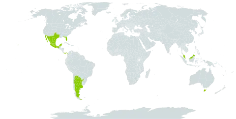 Turnera world distribution map, present in Argentina, Australia, Mexico, Malaysia, Panama, and United States of America