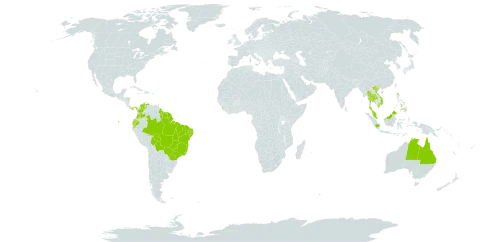 Turnera subulata world distribution map, present in Australia, Bolivia (Plurinational State of), Brazil, Barbados, Colombia, Ecuador, Grenada, French Guiana, Guyana, Indonesia, Saint Lucia, Sri Lanka, Malaysia, Panama, Philippines, Singapore, Suriname, Thailand, Trinidad and Tobago, Venezuela (Bolivarian Republic of), and Viet Nam