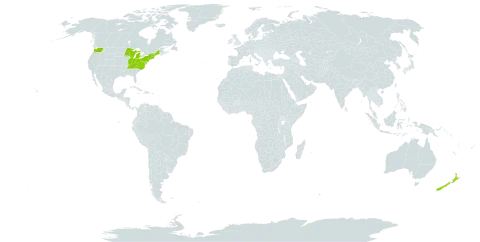 Tussilago world distribution map, present in New Zealand and United States of America