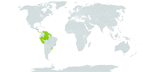 Uleiorchis ulei world distribution map, present in Brazil, Costa Rica, Guyana, Honduras, Panama, Peru, Suriname, and Venezuela (Bolivarian Republic of)