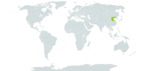 Ulmus lamellosa world distribution map, present in China