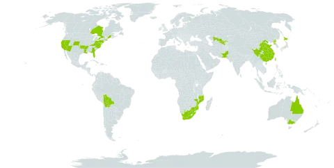 Ulmus parvifolia world distribution map, present in Australia, Bolivia (Plurinational State of), Canada, China, India, Japan, Mozambique, Pakistan, Korea (Democratic People's Republic of), Taiwan, Province of China, United States of America, Uzbekistan, and South Africa