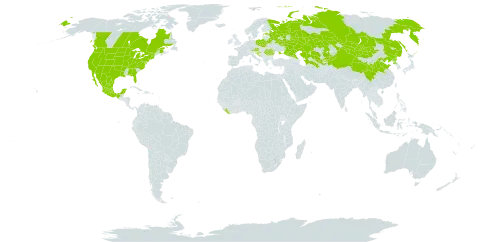 Ulmus pumila world distribution map, present in Austria, Belarus, Canada, China, Estonia, Croatia, Kazakhstan, Kyrgyzstan, Liberia, Moldova (Republic of), Mexico, Mongolia, Poland, Korea (Democratic People's Republic of), Romania, Russian Federation, Serbia, Tajikistan, Turkmenistan, Ukraine, United States of America, and Uzbekistan