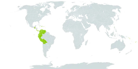 Urceolina world distribution map, present in Bolivia (Plurinational State of), Colombia, Costa Rica, Dominica, Ecuador, Fiji, Guatemala, Haiti, Jamaica, Panama, Peru, Puerto Rico, Solomon Islands, and Venezuela (Bolivarian Republic of)