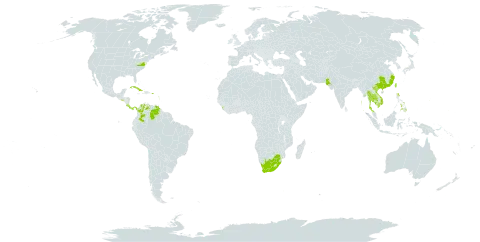 Urena procumbens world distribution map, present in China, Colombia, Costa Rica, Cuba, Cayman Islands, Dominica, Micronesia (Federated States of), Guadeloupe, Guam, India, Japan, Cambodia, Saint Lucia, Sri Lanka, Myanmar, Northern Mariana Islands, Martinique, Pakistan, Panama, Philippines, Palau, Puerto Rico, El Salvador, Thailand, Trinidad and Tobago, Taiwan, Province of China, United States of America, Venezuela (Bolivarian Republic of), Viet Nam, and South Africa