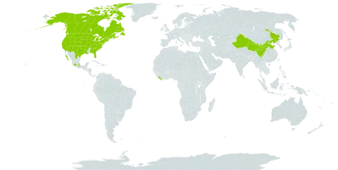 Utricularia macrorhiza world distribution map, present in Canada, China, France, Liberia, Mexico, Saint Pierre and Miquelon, and United States of America