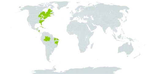 Utricularia resupinata world distribution map, present in Belize, Brazil, Canada, Cuba, Mexico, Nicaragua, and United States of America