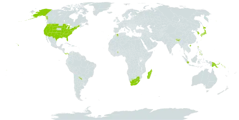 Vaccinium world distribution map, present in Argentina, Bhutan, China, Ghana, Indonesia, India, Iceland, Japan, Korea (Republic of), Morocco, Madagascar, Panama, Philippines, Papua New Guinea, Portugal, Solomon Islands, United States of America, Samoa, and South Africa