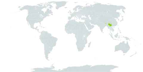 Vaccinium scopulorum world distribution map, present in Bhutan, China, and Myanmar