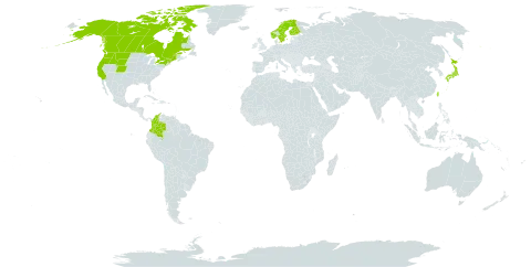 Vahlodea atropurpurea world distribution map, present in Canada, Colombia, Finland, Japan, Norway, Sweden, Taiwan, Province of China, and United States of America