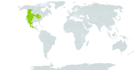 Valeriana edulis world distribution map, present in Canada, Mexico, and United States of America