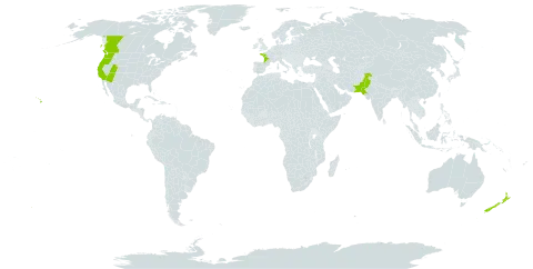 Valeriana rubra world distribution map, present in Canada, France, New Zealand, Pakistan, and United States of America