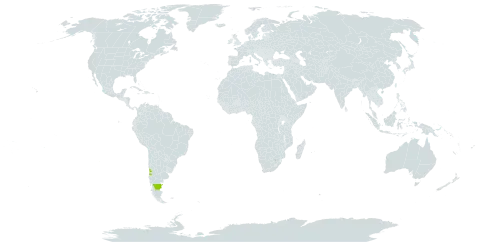 Valeriana samolifolia world distribution map, present in Argentina and Chile